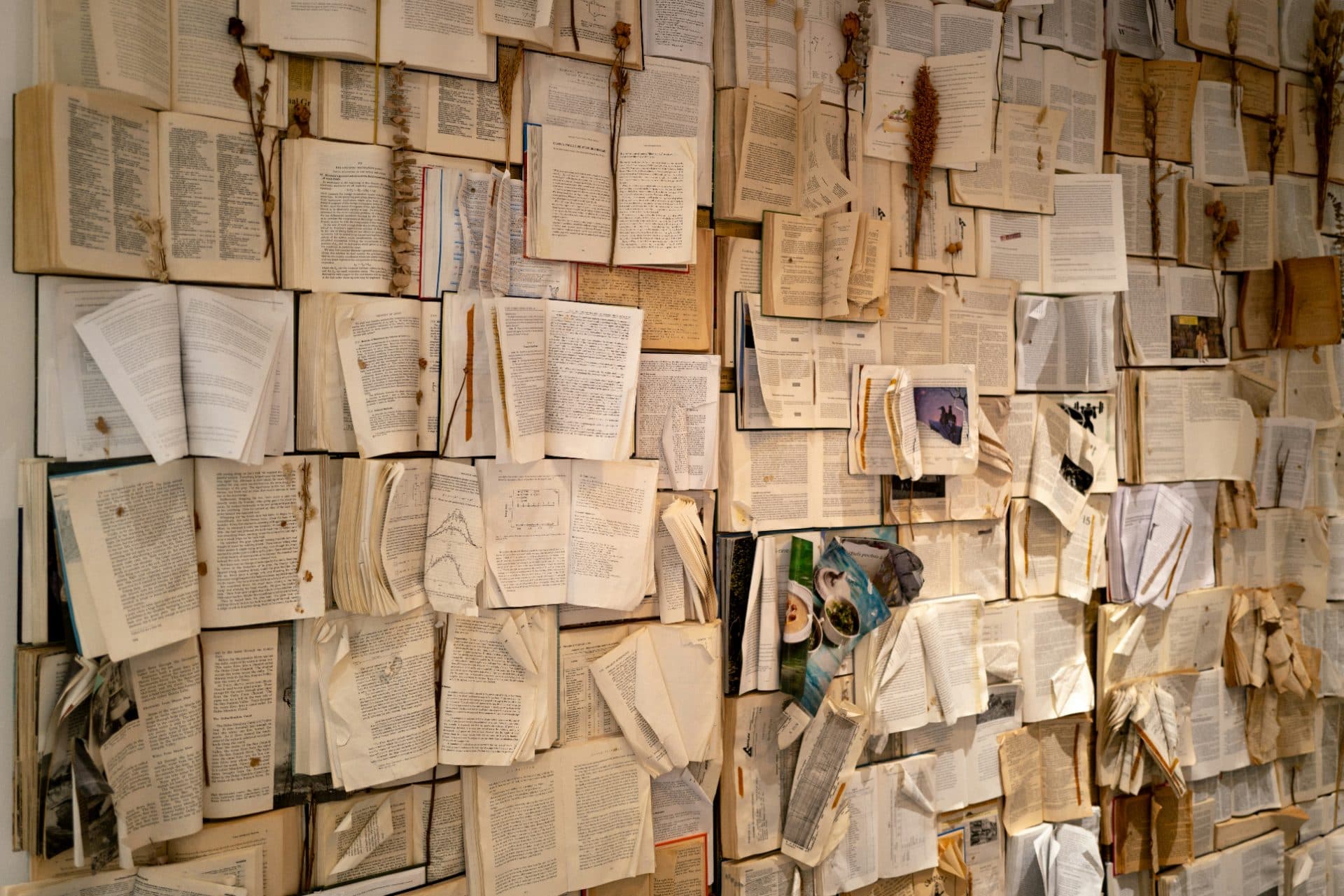 Streamline Your PhD: Four AI-Powered Research Tasks