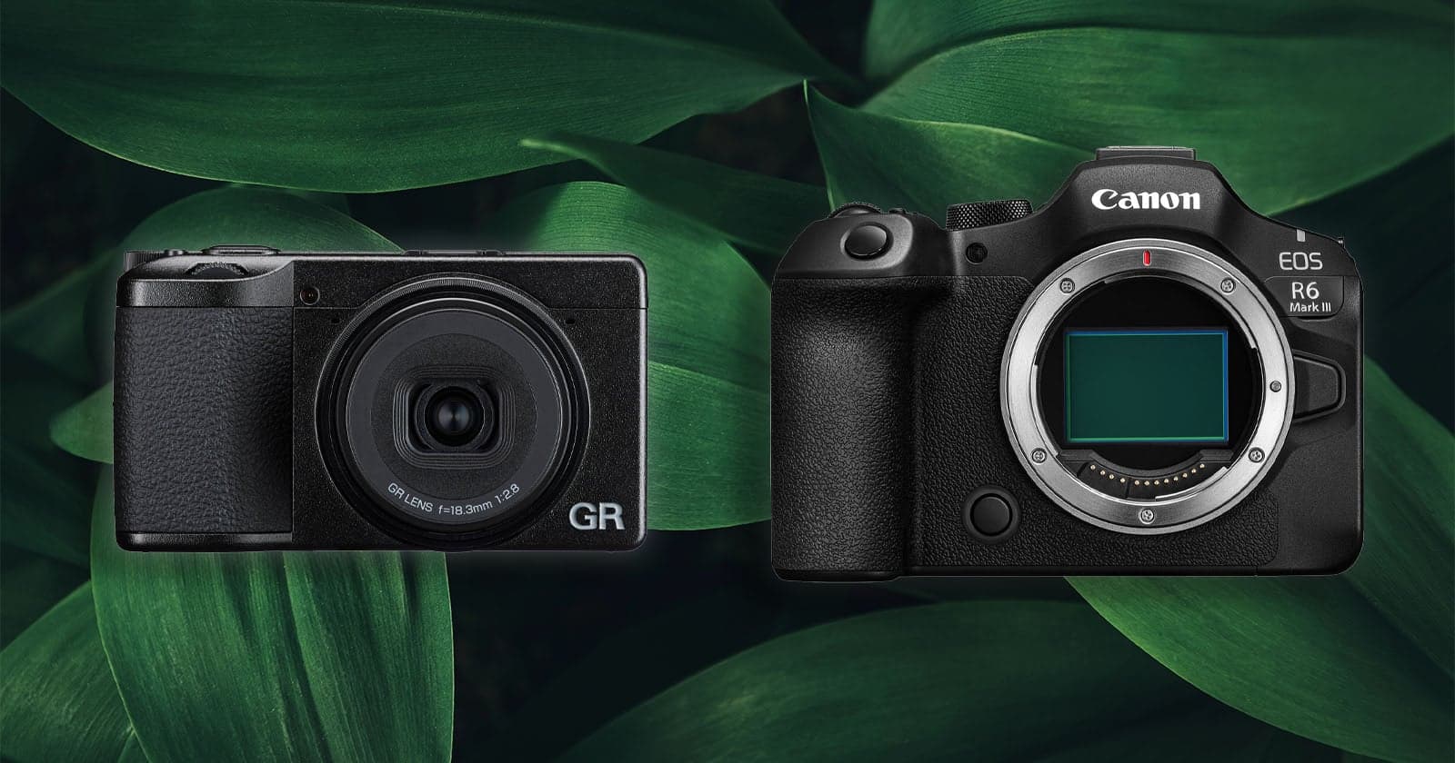 Japanese Government Says the Digital Camera Industry Is In Recovery