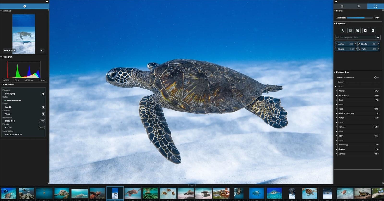 Excire Foto 2027 Promises a Feature-Rich and Powerful Photo Management Experience