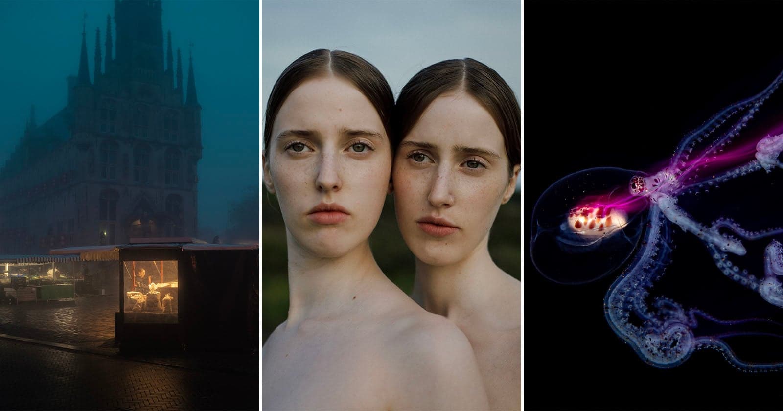 The 7 Spectacular Winners of the Hasselblad Masters 2026 Photo Contest