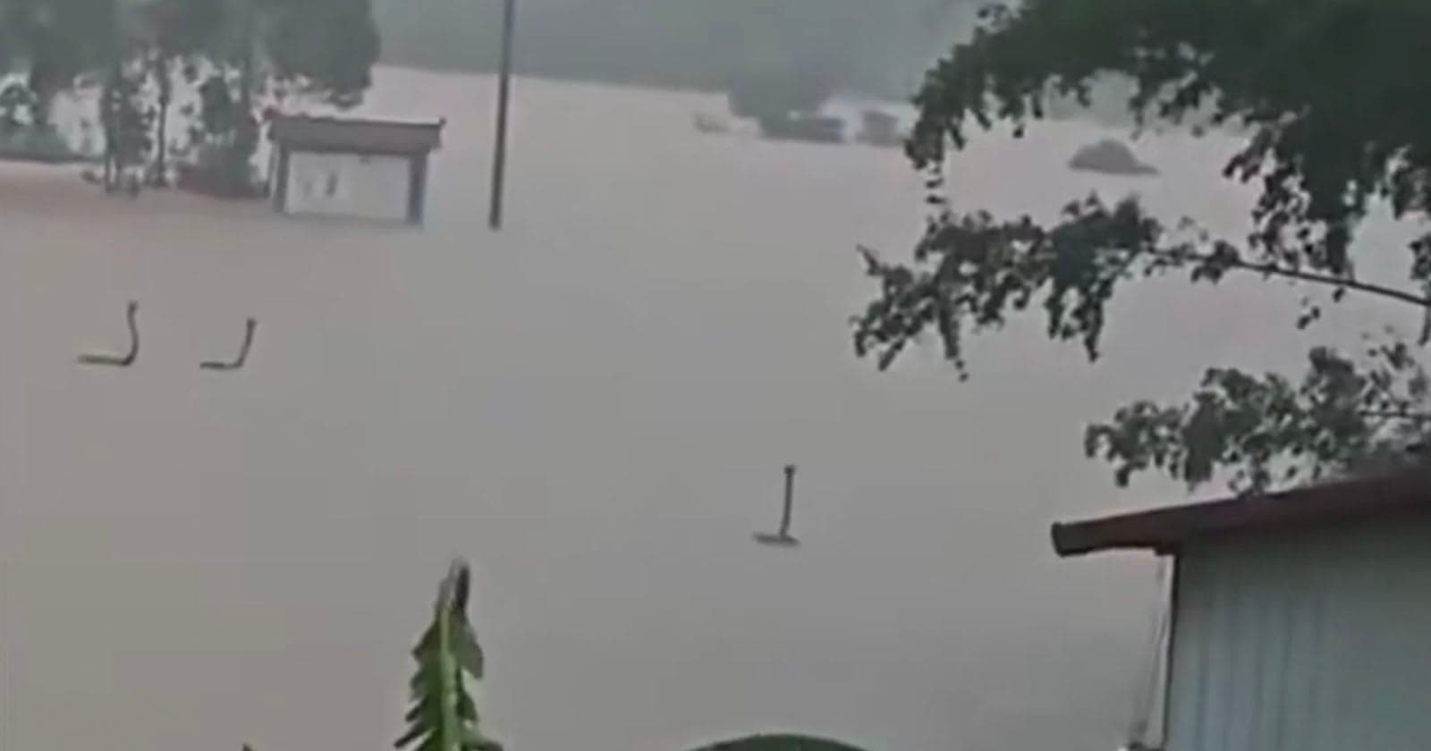 Apocalyptic Videos Show Snakes Roaming in Floodwaters in China