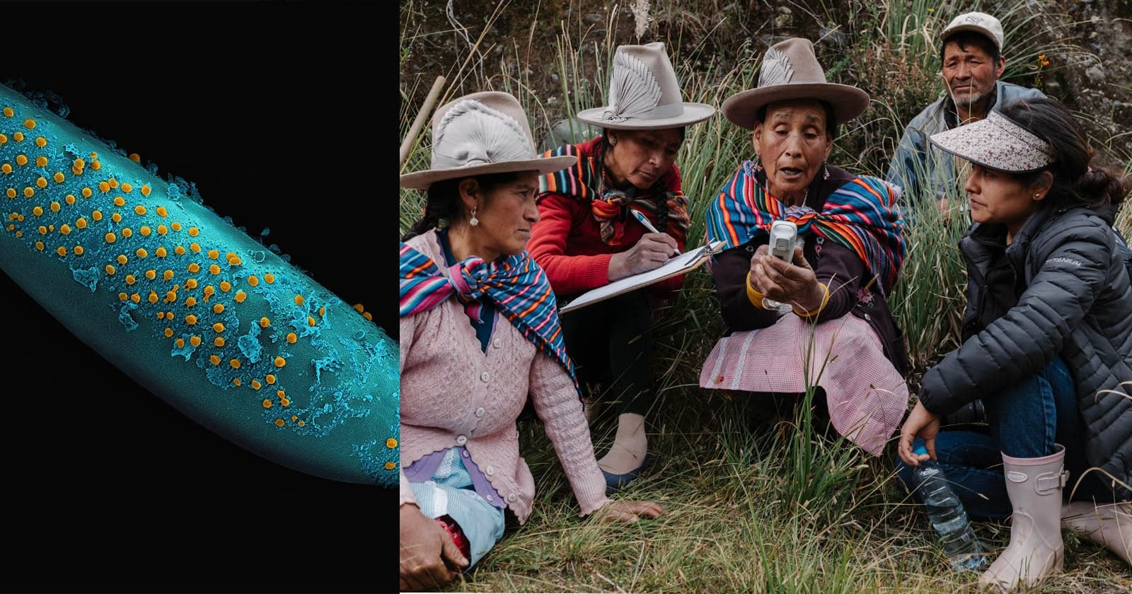 This Free to Enter Photo Competition Has a $70,000 Total Prize Fund