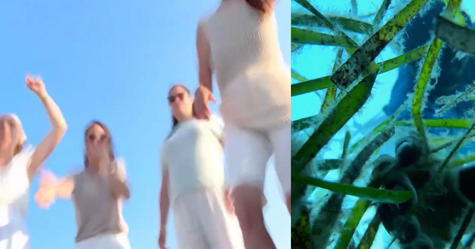iPhone 16 Falls Into the Sea, Films Fish and Its Own Rescue