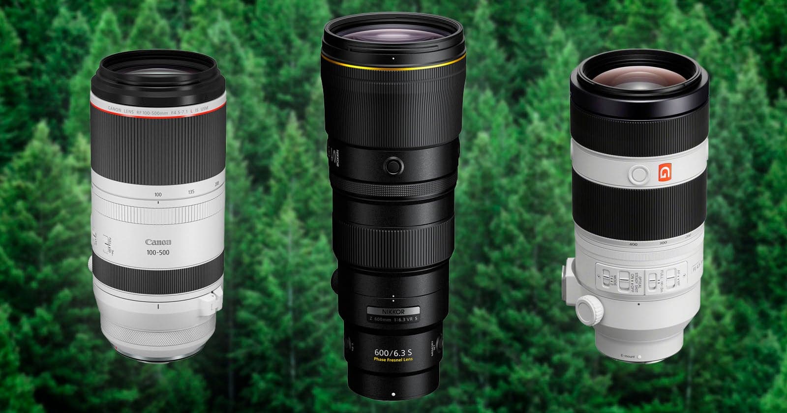 The Best Deals on Telephoto Lenses for (Nearly) Every Camera