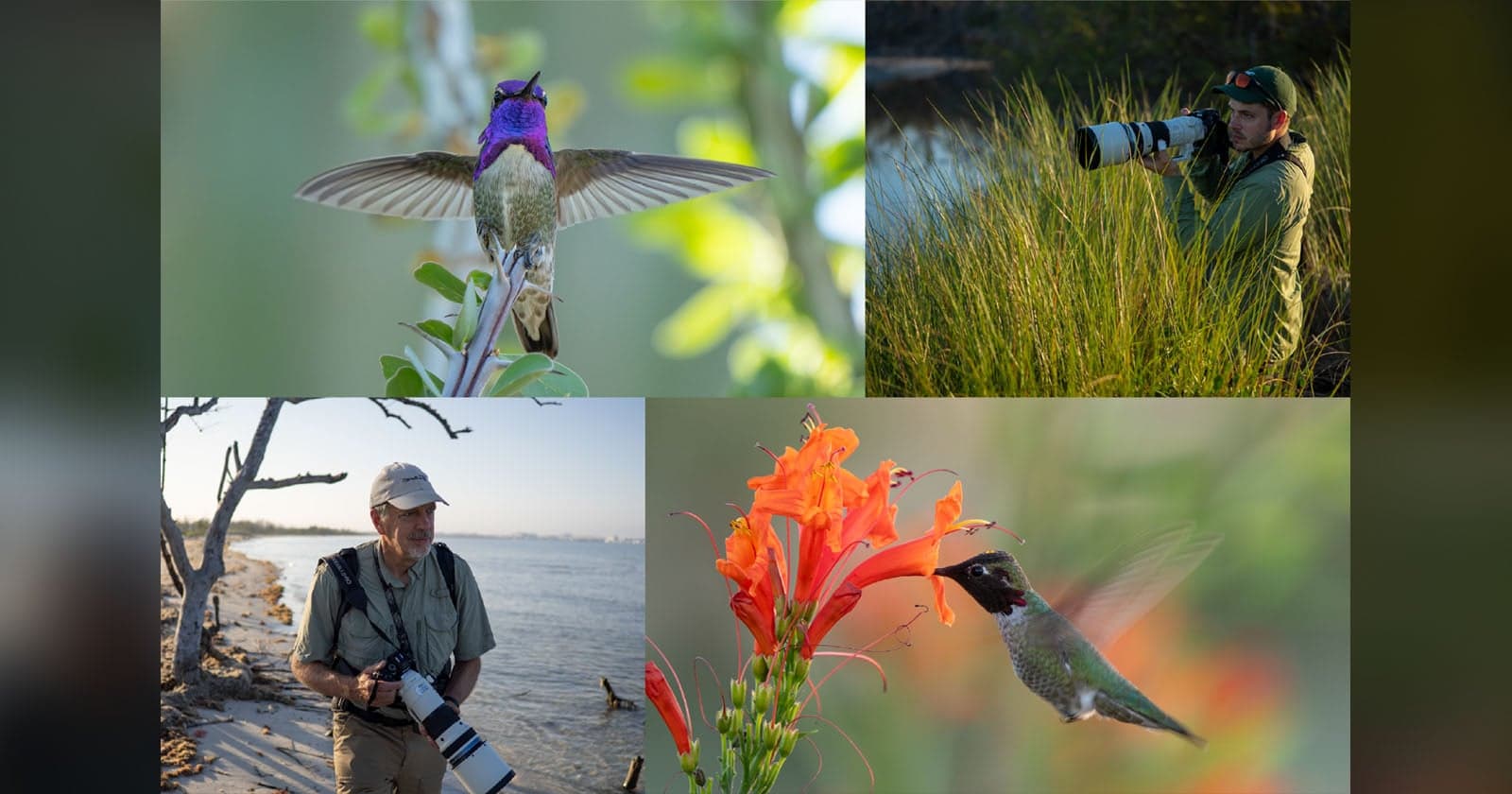 OM System Says You’ve Never Seen Birds Like This Before