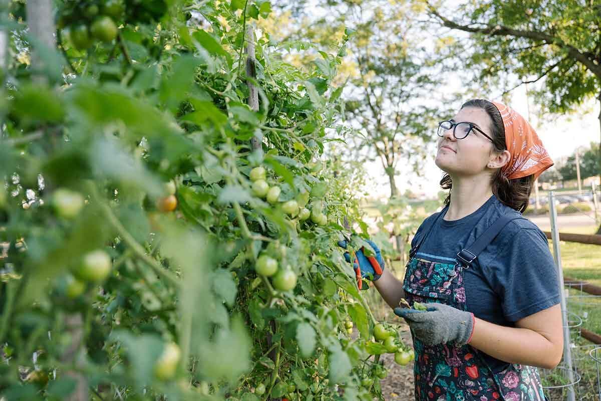 How One College Addresses Food Insecurity Through Urban Agriculture