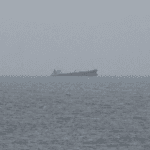 Panama-Flagged Bulk Carrier Sinks Off India Leaving 22 Crew Members Missing