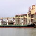 Russian Grain Lobby Warns Black Sea Attacks Could Disrupt Exports And Raise Global Food Prices
