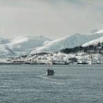 Boat Operator Fined $5000 For Waking Sleeping Polar Bear With Ship Horn Close To North Pole