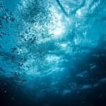 Global Sea Surface Temperature Hits Record High Of 21.1°C In August 2026