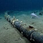 Australia Investigates Damage To 2 Critical Undersea Communication Cables Off Perth