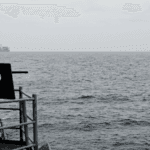 Red Sea Nations Strengthen Maritime Cooperation as Regional Threats Grow
