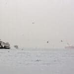 Captain’s Body Recovered 2 Weeks Following Ship Collision In The Sea Of Marmara