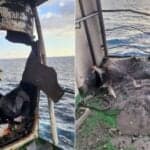 Cargo Ship Carrying 23 Indian Seafarers Catches Fire After Drone Strike En Route To Pakistan