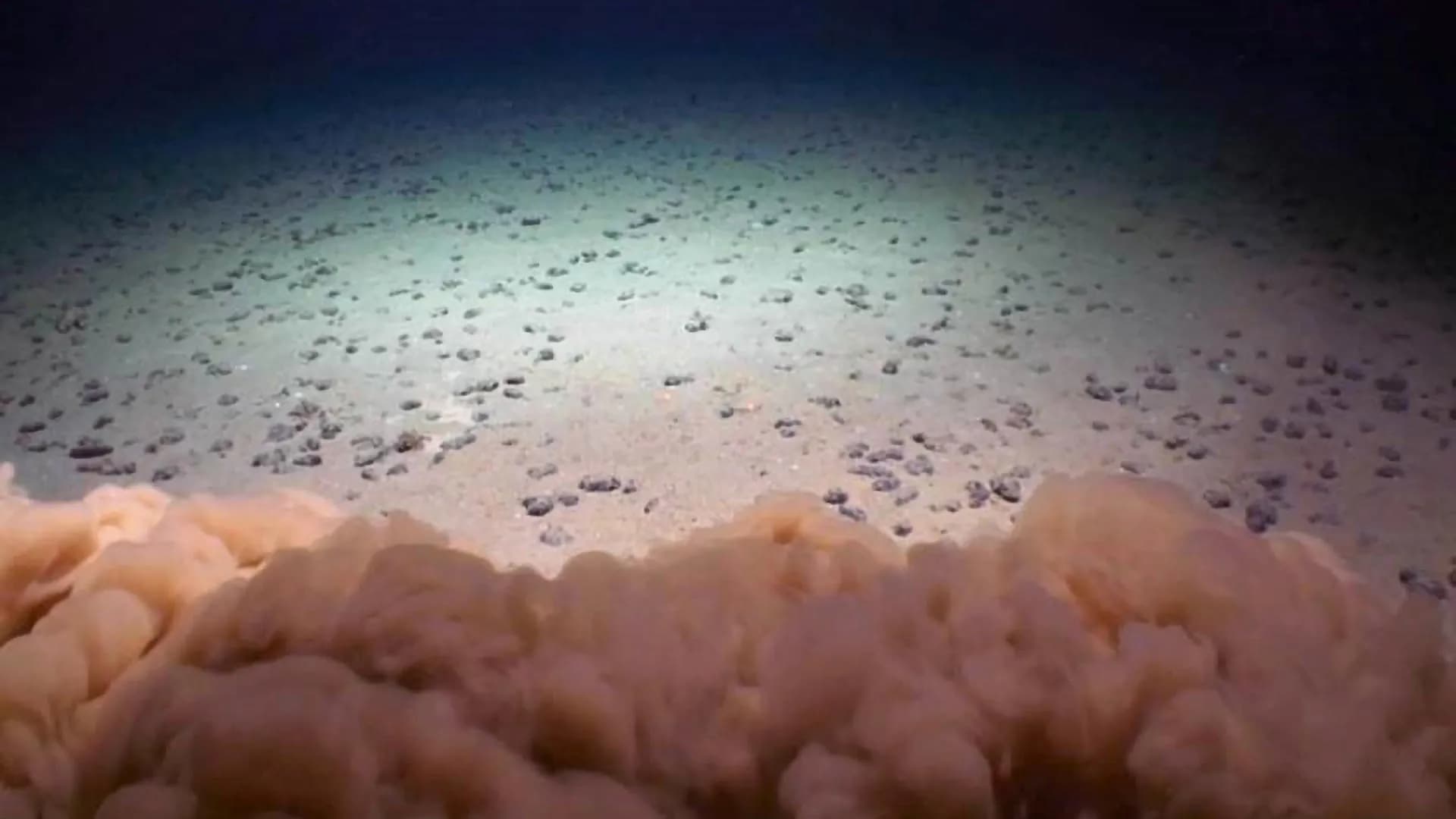 Deep-sea mining starves life in the ocean’s twilight zone