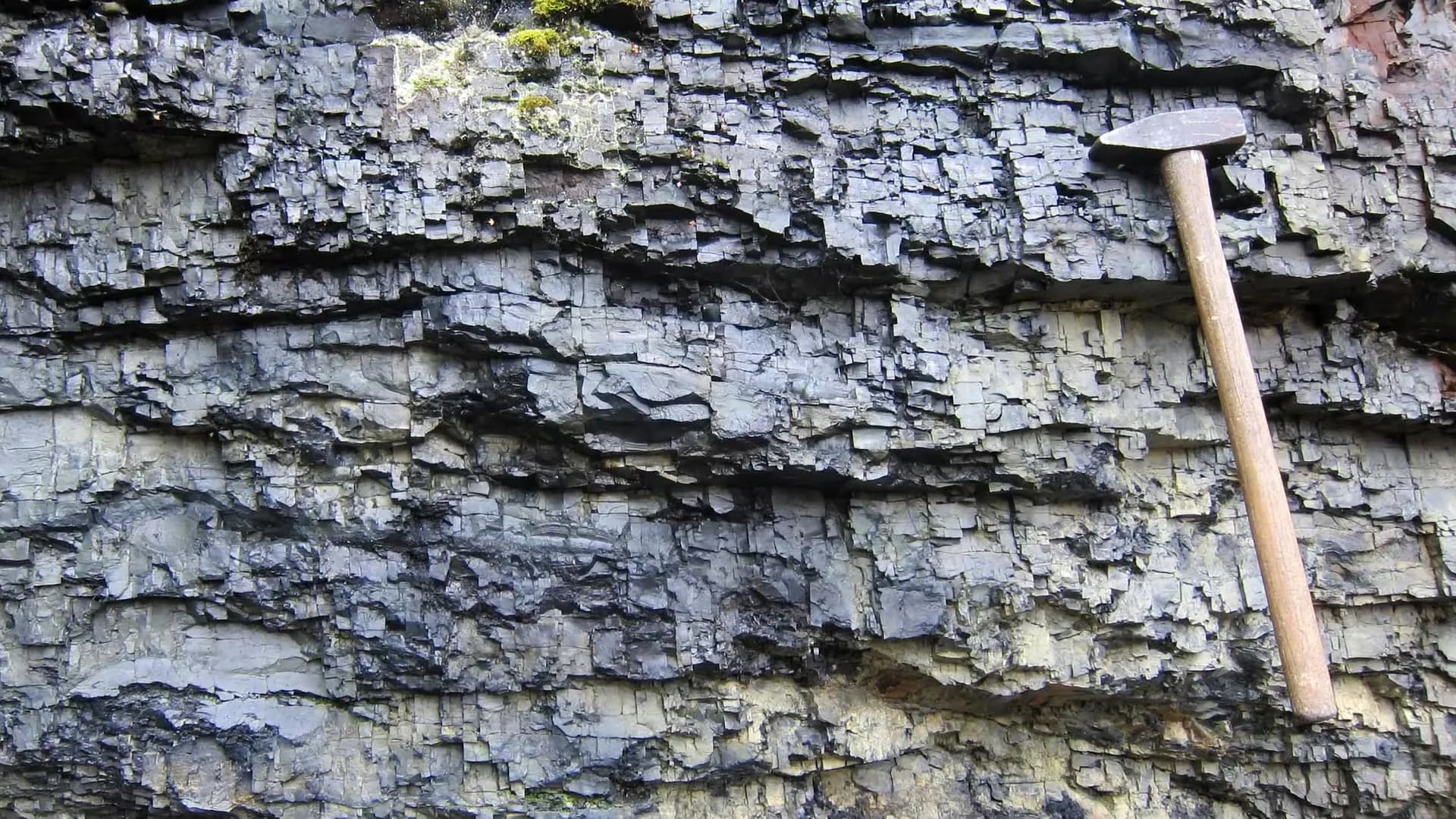 Magma and microbial activity may rewrite a 2-billion-year-old carbon signal