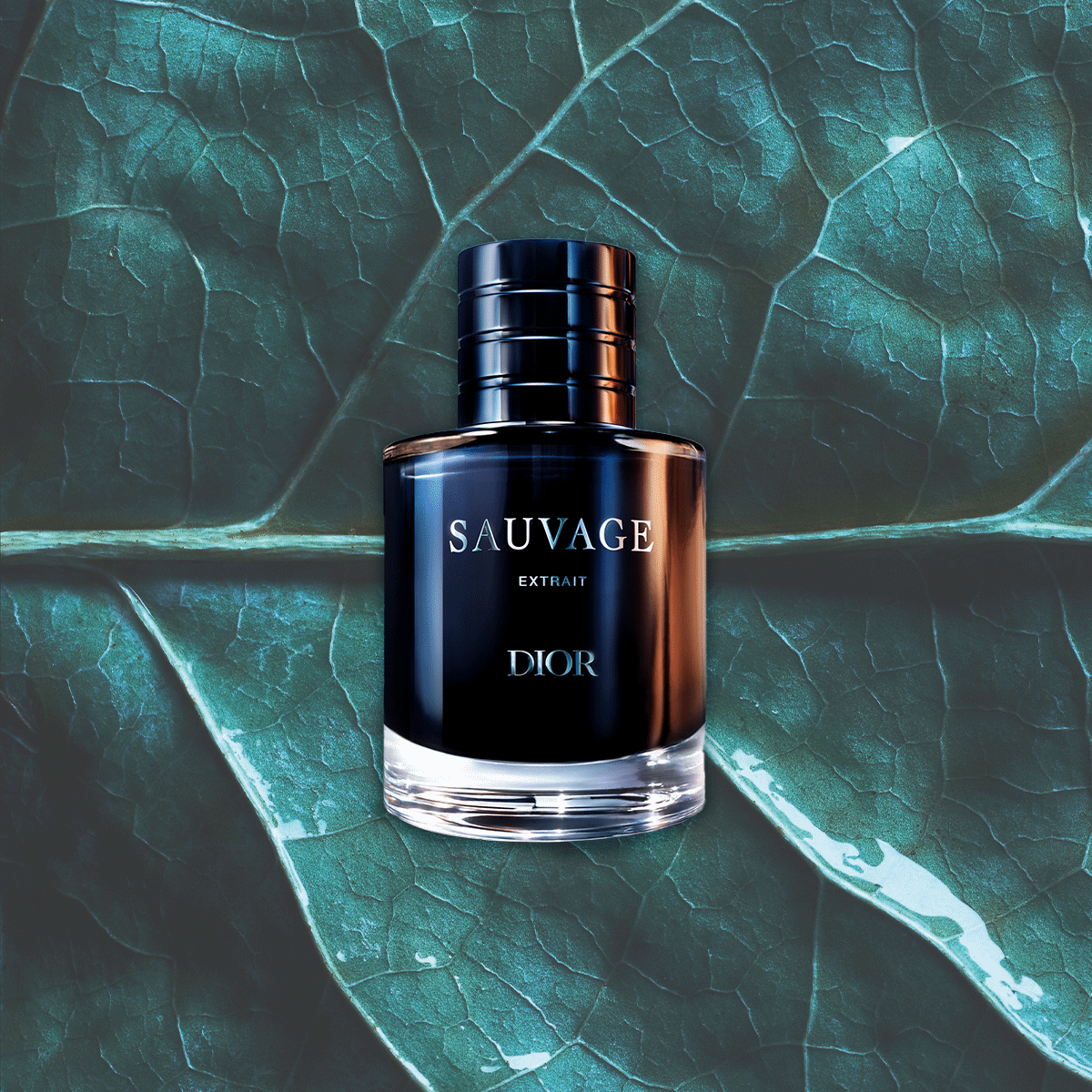 With Its "Dense" New Scent, Dior Just Cemented This Year's Biggest Perfume Trend