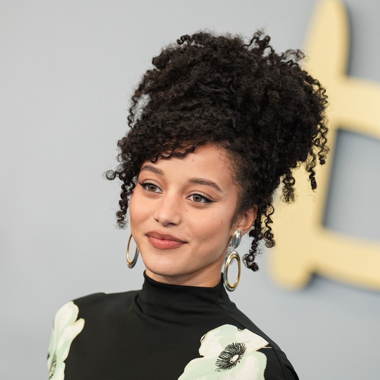 Chase Infiniti's Half-Twisted Updo Is the Perfect Summer Protective Style