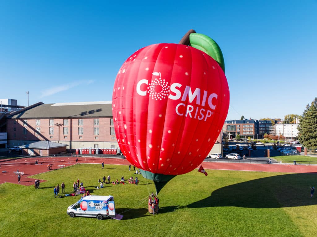 A star is born: WSU’s Cosmic Crisp® Apple