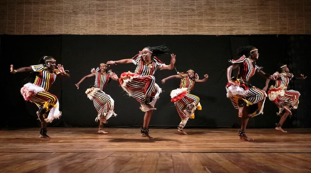 BAM unveils complete program for DanceAfrica 2026