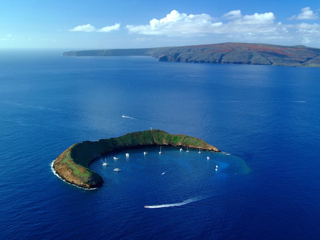 The 5 Best Snorkeling Spots on Maui