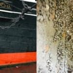 1500 Ships Trapped In Hormuz Could Unleash Biggest Bioinvasion Event Once Trade Resumes
