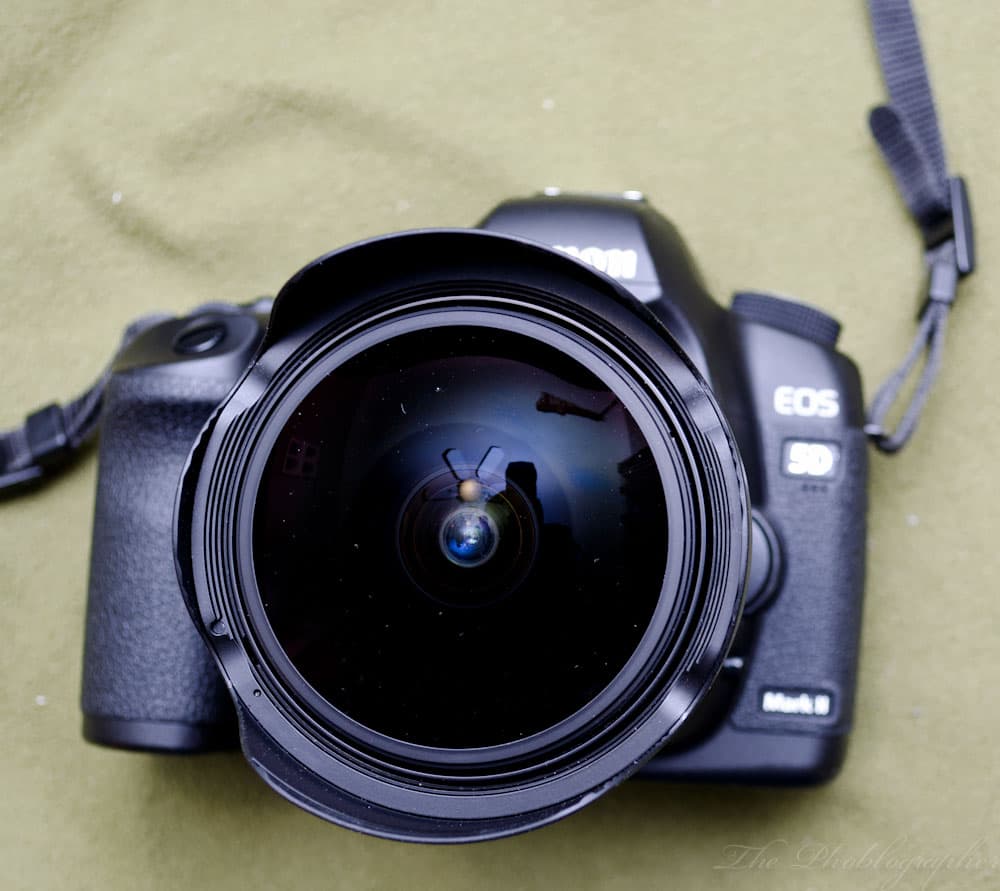 Are Fisheye Lenses Reclaiming Their Place in Photography?