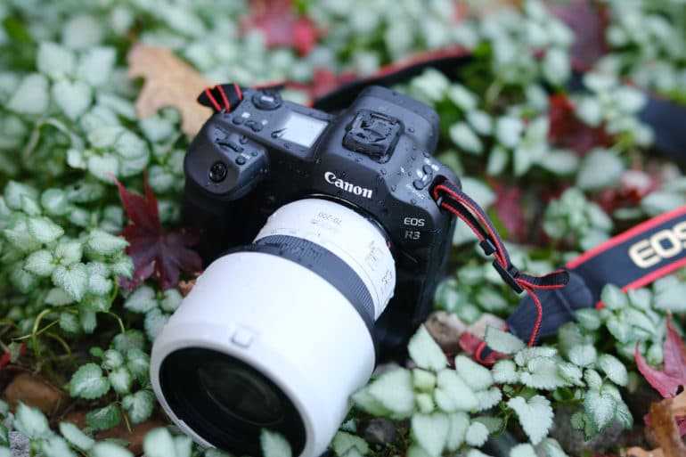 Why Does Canon Hate Their Customers?