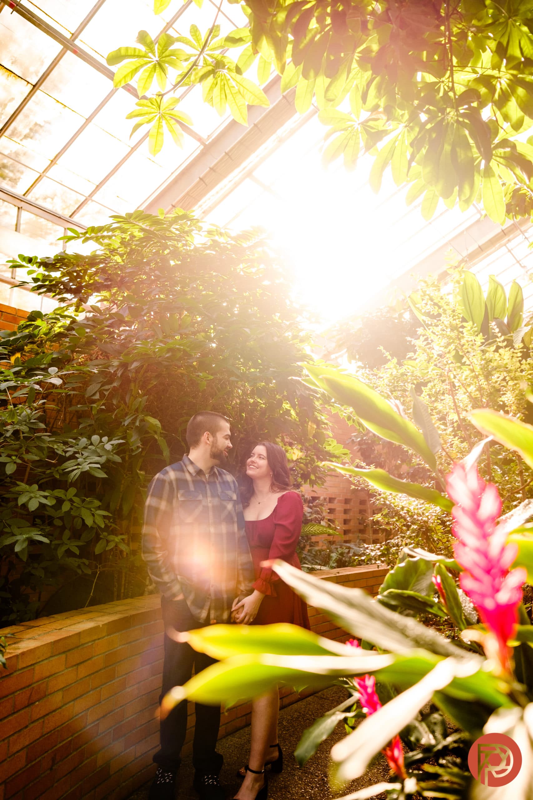 Simple Facts About Lens Flare Photographers Should Know