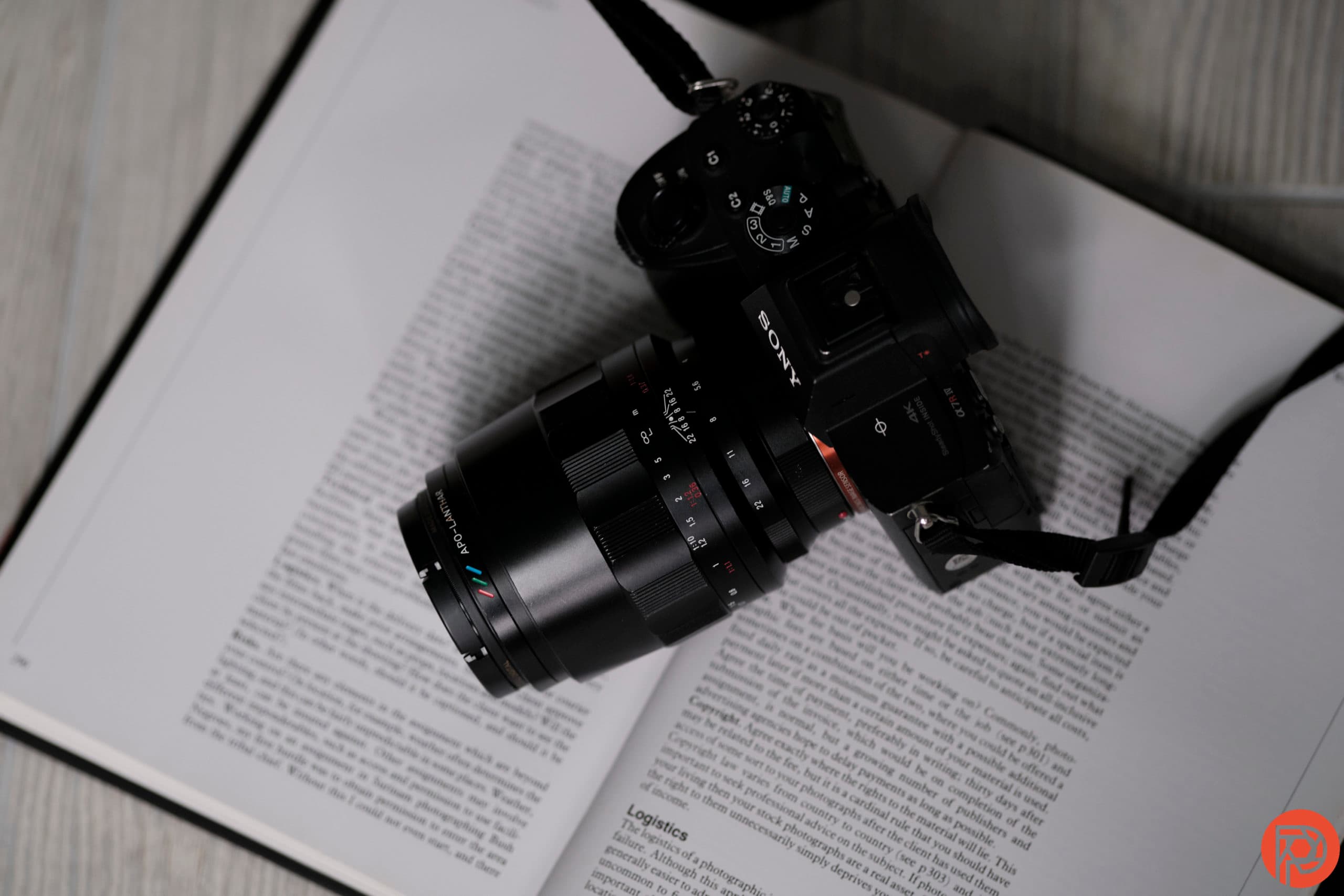 The 5 Best Macro Lenses Under $1000