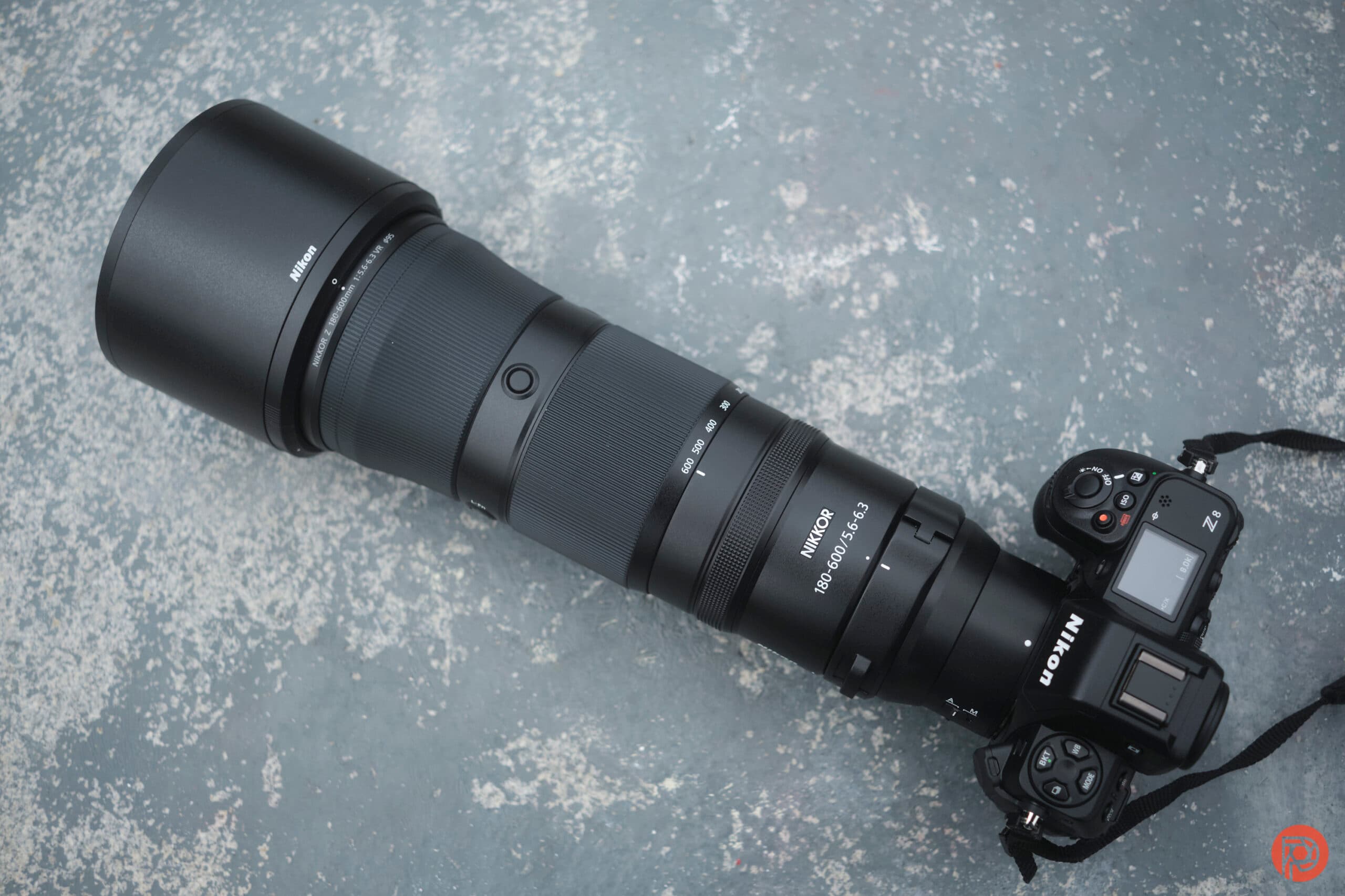 Our Favorite Nikon Lens for Bird Photography