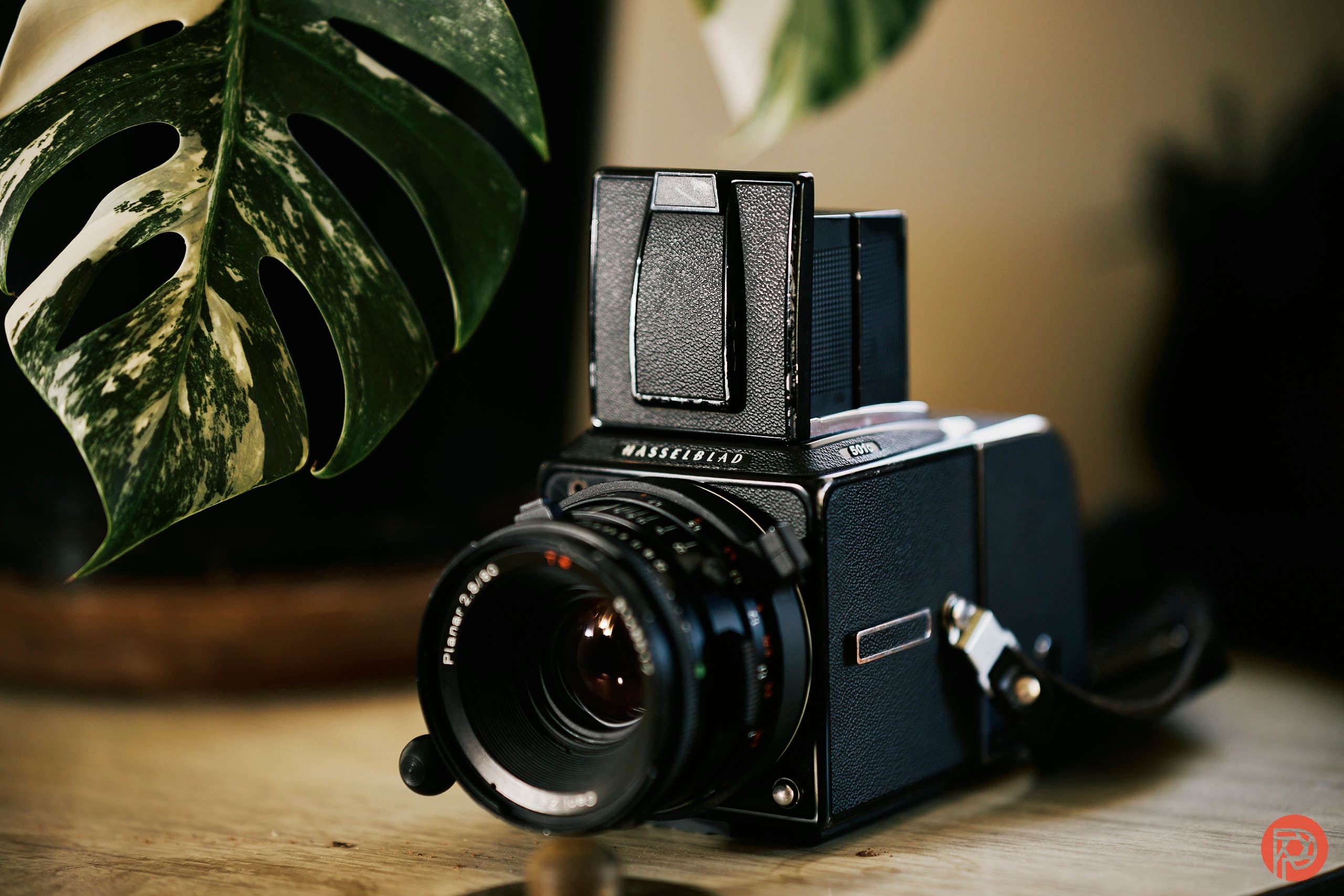 The Hasselblad 501C is Possibly the King of DSLRs