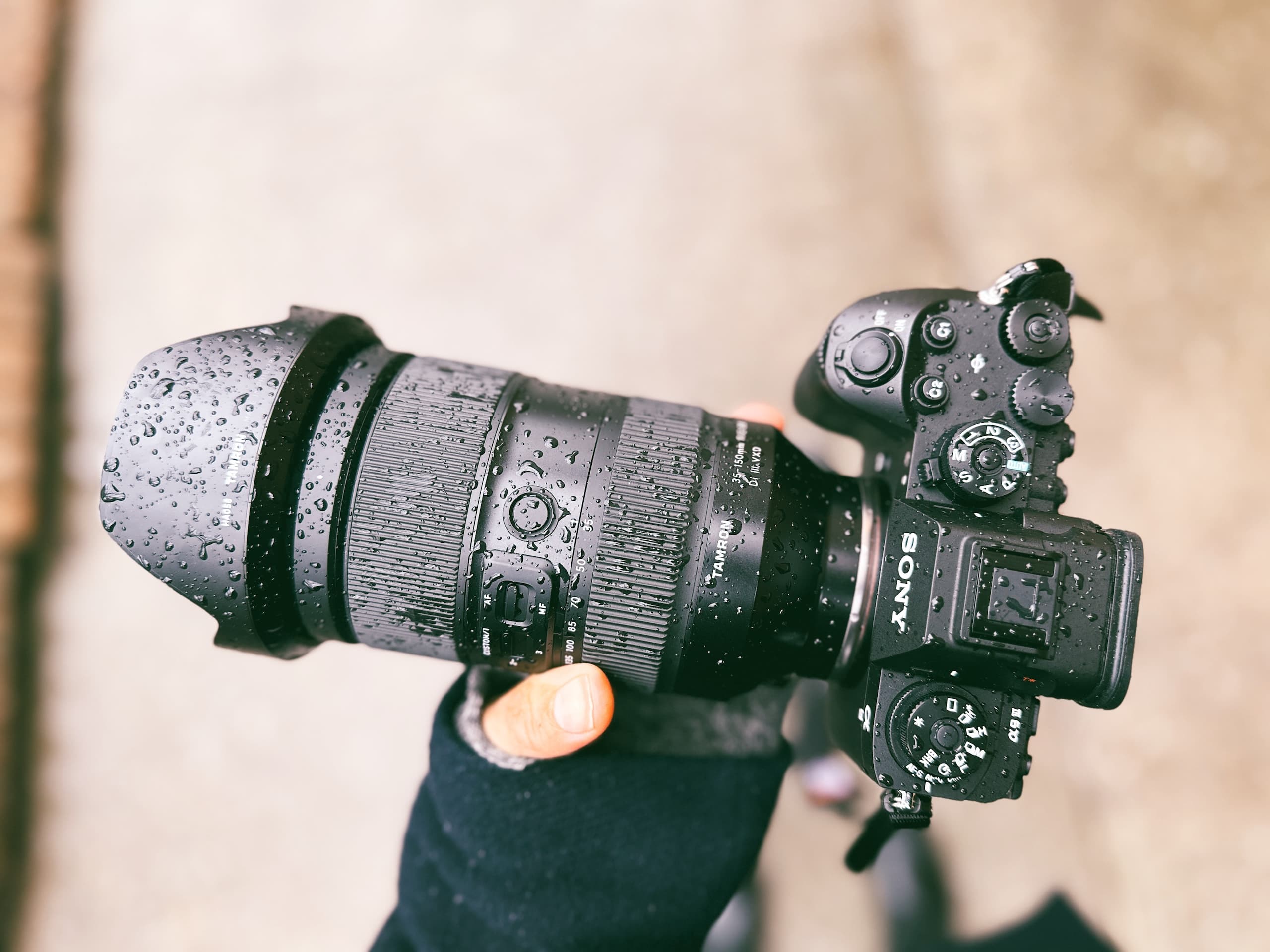 The Best 3 Sony Cameras with an Inclusive Autofocus