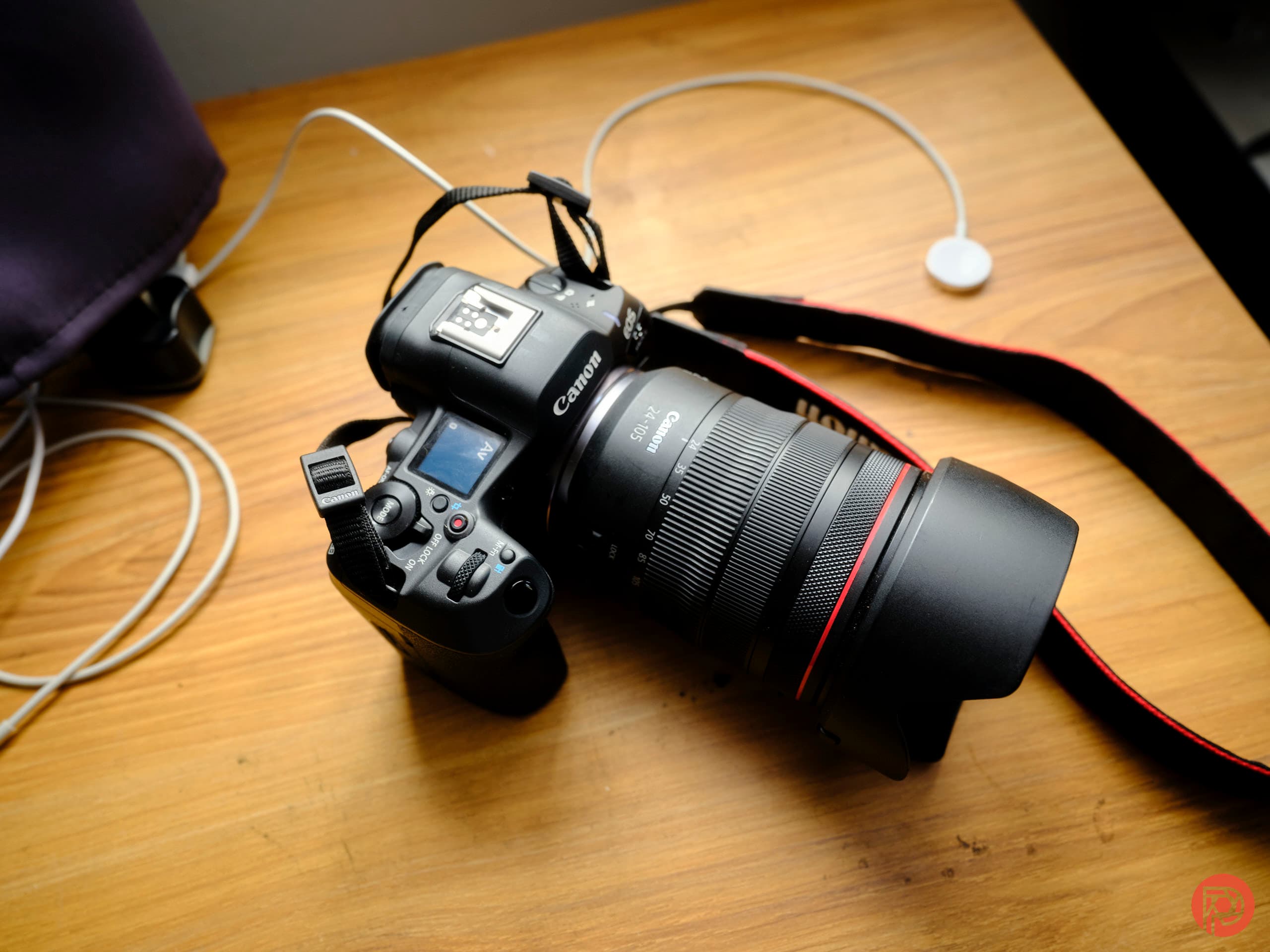 The Best Canon Camera Kit For Bird Photography