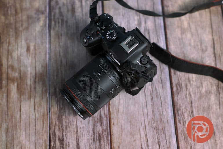 A New Lens for Close-Ups: Canon's RF 90mm Macro Arrives