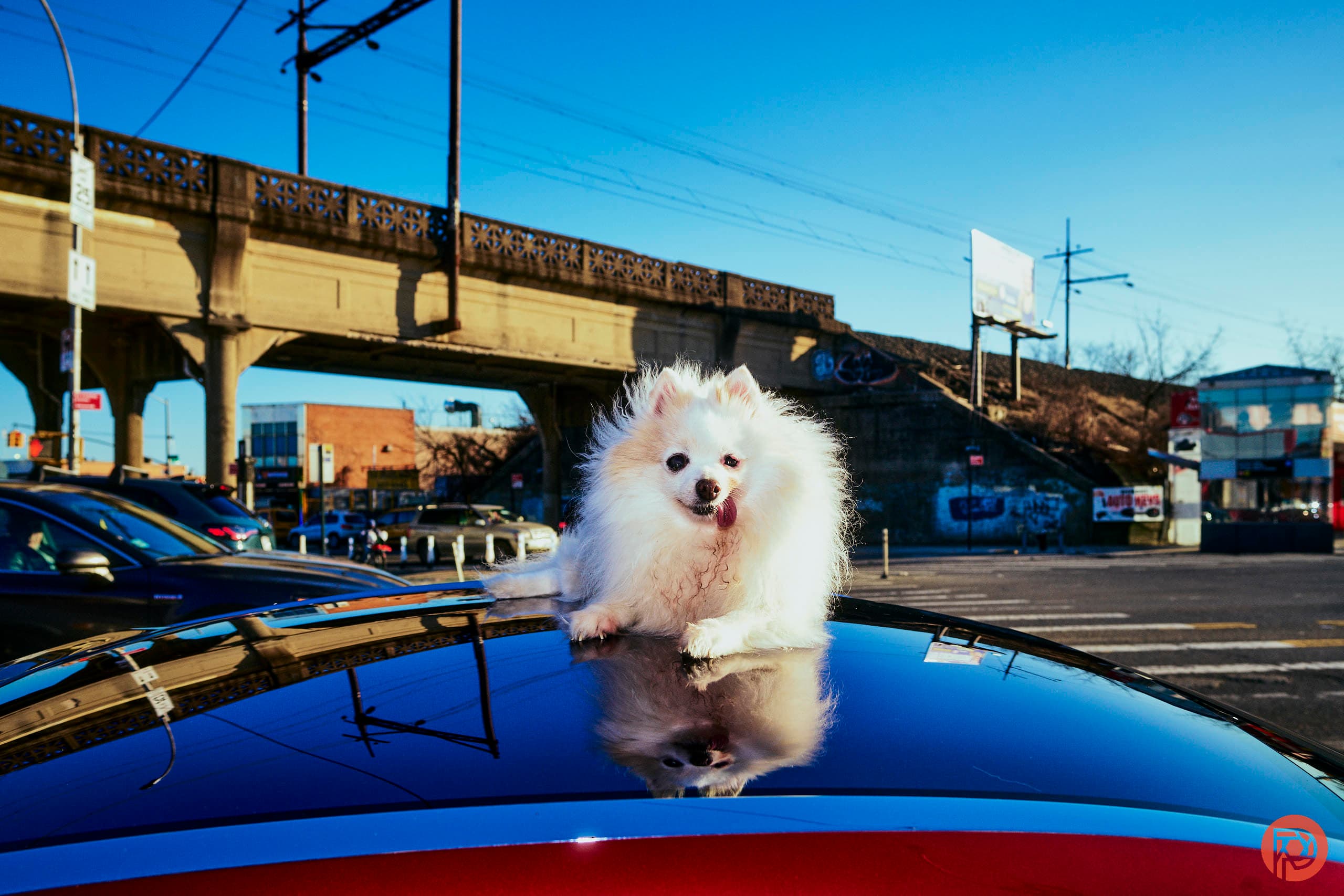 The Single Best DSLR Camera for Street Photography